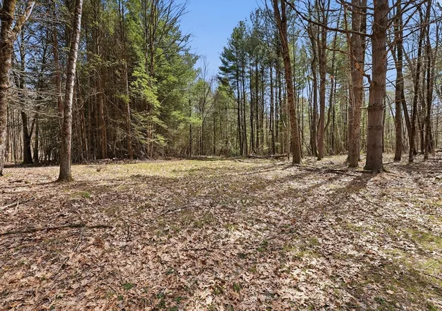 Homes for sale in Montague, MA | 0 Dry Hill Road, Montague, MA 01351 | MLS# 73515700