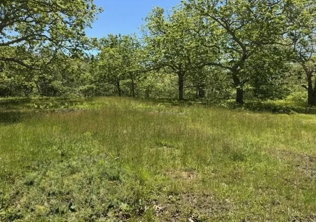 12th image of 45 Quenames Rd, Chilmark, MA 02535 | MLS# 73471152