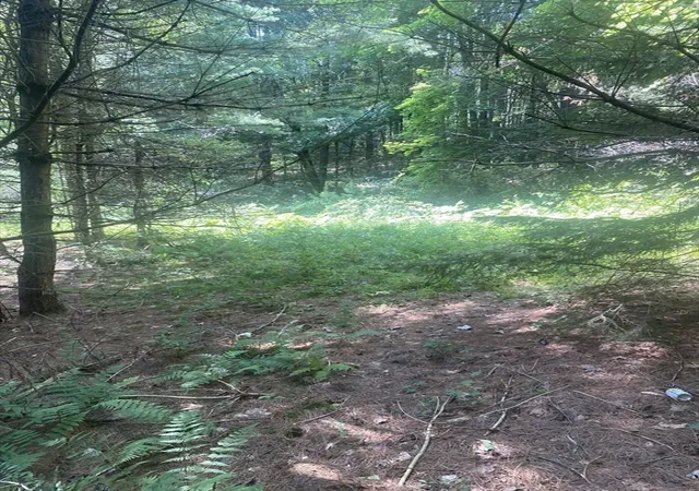 Photo 4 of Land for sale at 5 E Mountain Rd, Great Barrington, MA 01230 | MLS# 73553500 | Listing updated on 2026-09-21