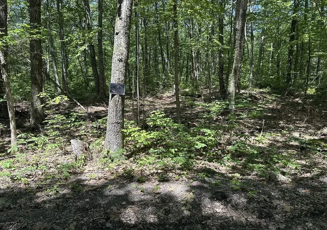 Homes for sale in Rutland, MA | 43 Irish Lane, Rutland, MA 01543 | MLS# 73508543