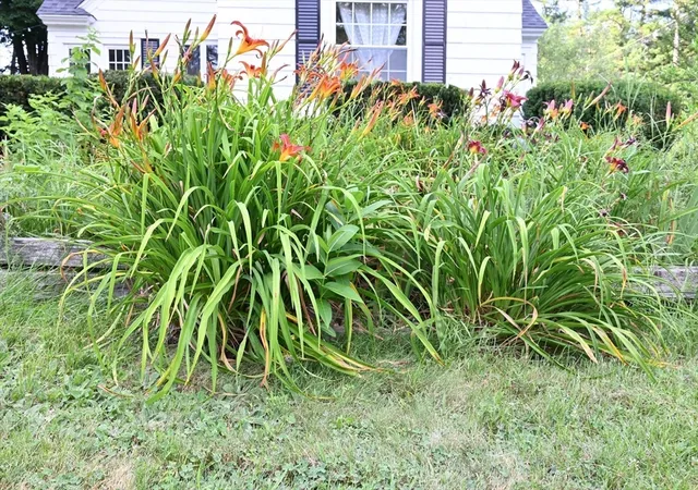 Photo 3 of Sale Pending at 134 Church St, Ware, MA 01082 | MLS# 73560592 | Listing updated on 2026-08-30