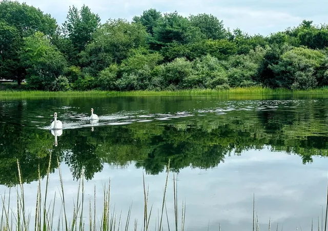 39th image of 67 Montgomery Rd, Swansea, MA 02777 | MLS# 73565292