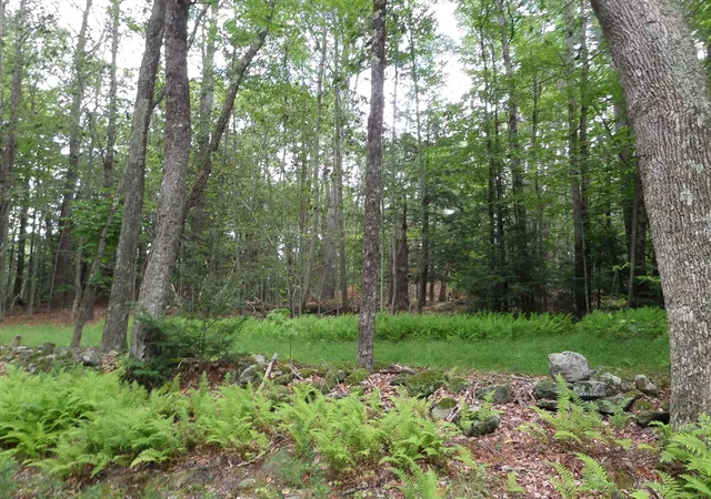 Homes for sale in Chesterfield, MA | 0 Pynchon Rd, Chesterfield, MA 01012 | MLS# 73512590