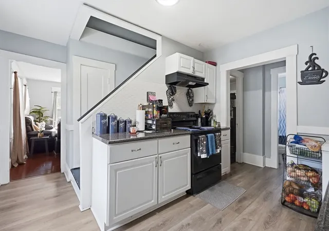 Listing Photo 4 - Condo for sale in building located at 117-119 Groveland St, Springfield, MA 01108