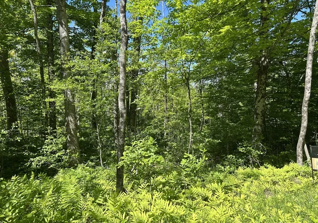 Photo 18 of Sale Pending at 0 Old Abbey Ln W, Becket, MA 01223 | MLS# 73499071 | Listing updated on 2026-07-08