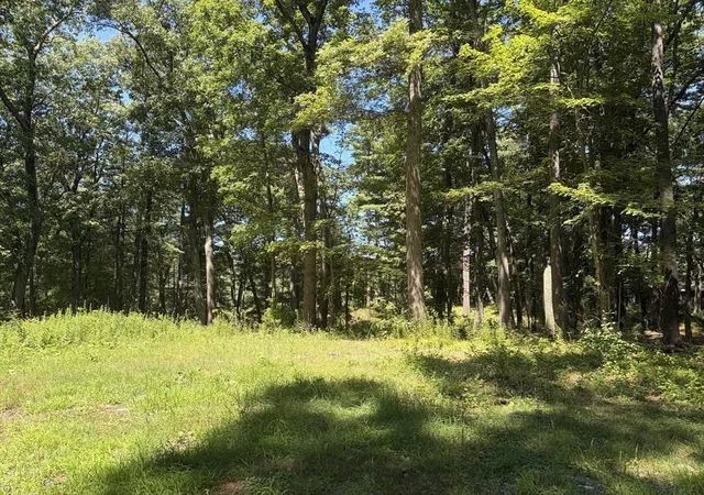 4th image of 6-A Durkee Ln, Westford, MA 01886 | MLS# 73559030