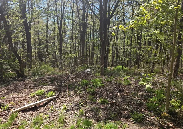Homes for sale in Orange, MA | Lot 1 Winter St, Orange, MA 01364 | MLS# 73512415