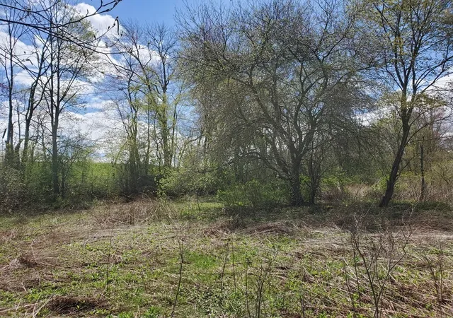 Homes for sale in North Brookfield, MA | 18-20 Old W Brookfield Rd, North Brookfield, MA 01535 | MLS# 73299521