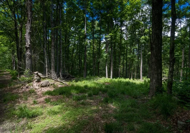 1st image of 91 Lynes Rd, Chester, MA 01011 | MLS# 73542747
