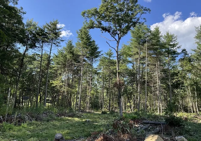 Photo 3 of Sale Pending at 18 Country Ln, Palmer, MA 01069 | MLS# 73569066 | Listing updated on 2026-09-14
