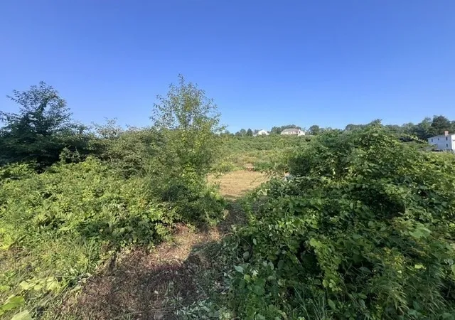 Photo 2 of Land for sale at 0 Haydenville Rd (ws), Whately, MA 01093 | MLS# 73564451 | Listing updated on 2026-09-05