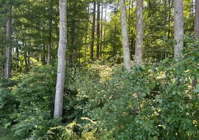 1st image of 33 Coburn Rd, Windham, NH 03087 | MLS# 73560857