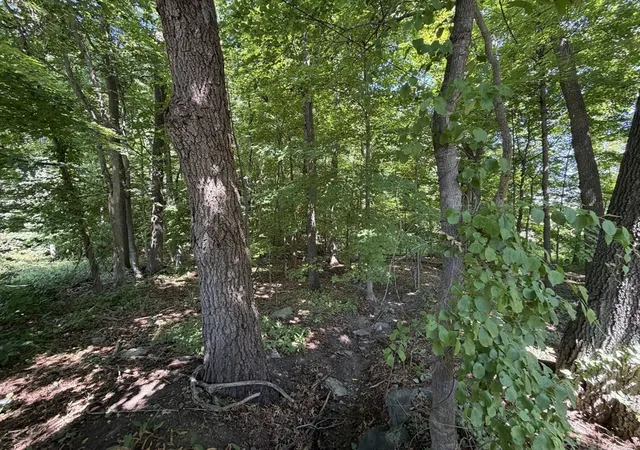 Photo 4 of Land for sale at 15 Myrna Rd, Lexington, MA 02420 | MLS# 73561689 | Listing updated on 2026-08-27