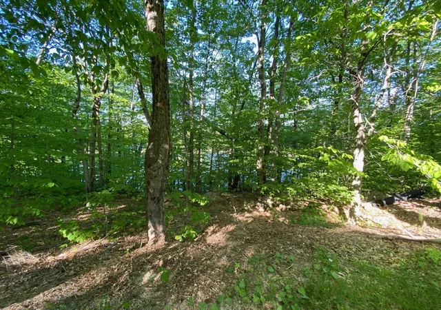 Photo 4 of Land for sale at Parcel 216 King Richard Dr, Becket, MA 01223 | MLS# 73510186 | Listing updated on 2026-05-04