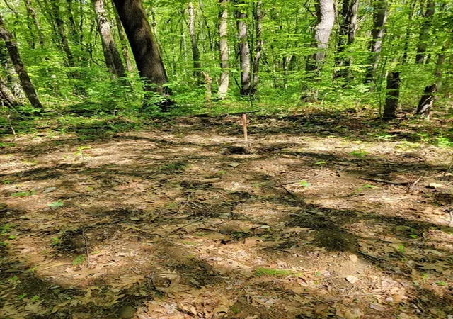 Homes for sale in Charlton, MA | Lot 5 Daniels Rd, Charlton, MA 01507 | MLS# 73524956