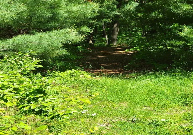 Homes for sale in Charlton, MA | Lot 5 Daniels Rd, Charlton, MA 01507 | MLS# 73524956