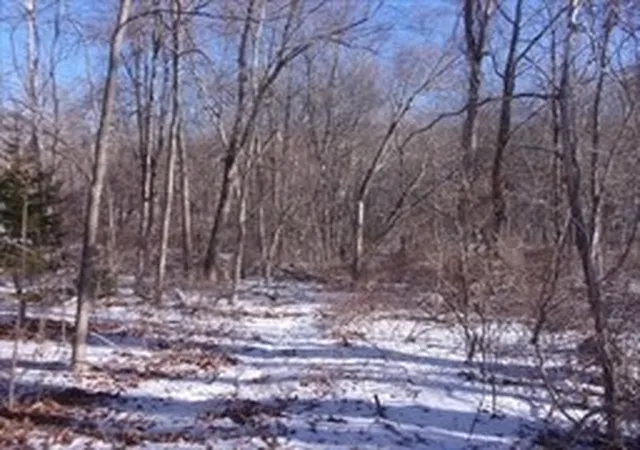 1st image of 90 Chestnut Hl Rd, Millville, MA 01529 | MLS# 73473820