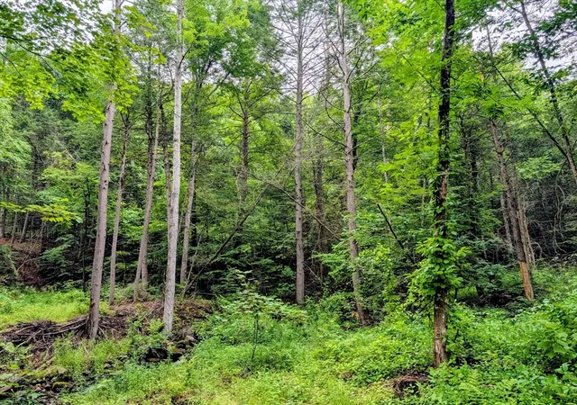 Photo 2 of Land for sale at 18 Pond Brk Rd, Huntington, MA 01050 | MLS# 73555983 | Listing updated on 2026-08-03