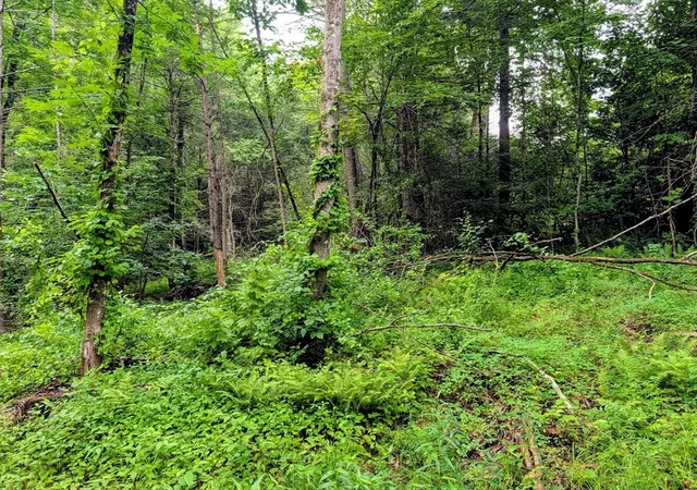 Photo 3 of Land for sale at 18 Pond Brk Rd, Huntington, MA 01050 | MLS# 73555983 | Listing updated on 2026-08-03