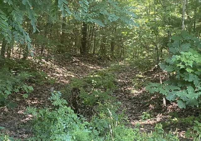 Photo 1 of Land for sale at Lt 73 731 Old Gilbertville Rd, Ware, MA 01082 | MLS# 73566965 | Listing updated on 2026-09-15