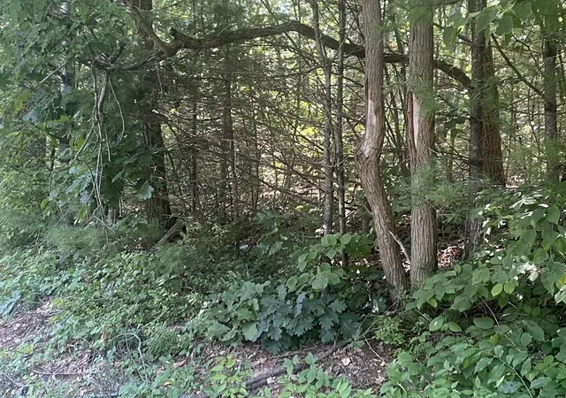 Photo 2 of Land for sale at Lt 73 731 Old Gilbertville Rd, Ware, MA 01082 | MLS# 73566965 | Listing updated on 2026-09-15