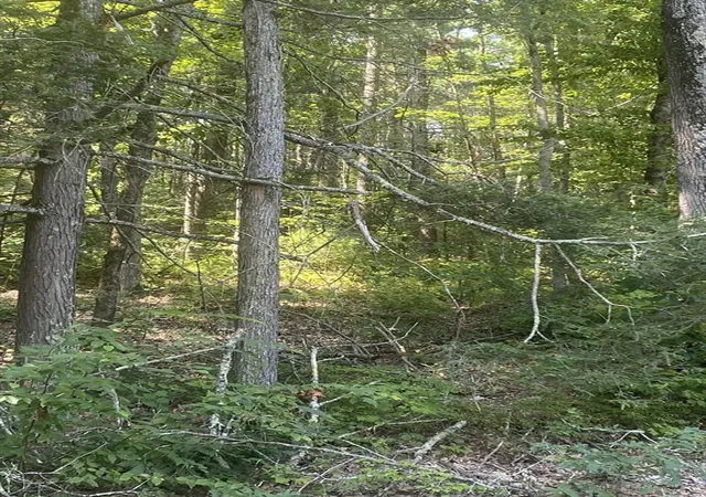 Photo 4 of Land for sale at Lt 73 731 Old Gilbertville Rd, Ware, MA 01082 | MLS# 73566965 | Listing updated on 2026-09-15