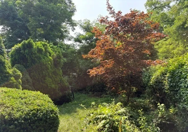 Photo 3 of Sale Pending at 11 Sawyer Pl, Plymouth, MA 02360 | MLS# 73561492 | Listing updated on 2026-09-09
