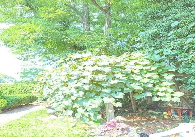 Photo 4 of Sale Pending at 11 Sawyer Pl, Plymouth, MA 02360 | MLS# 73561492 | Listing updated on 2026-09-09