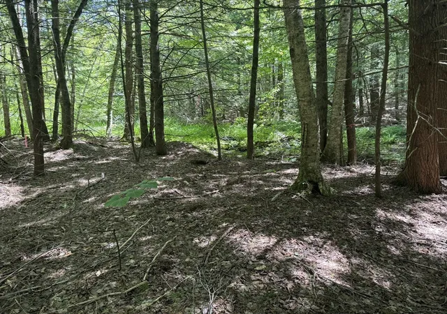 3rd image of 0 Old Stage Rd, Ashfield, MA 01330 | MLS# 73528367