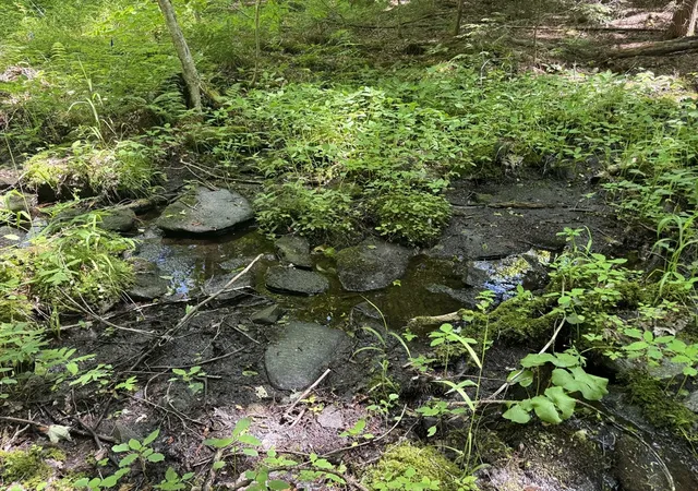 4th image of 0 Old Stage Rd, Ashfield, MA 01330 | MLS# 73528367
