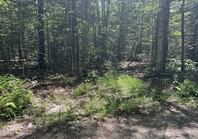 5th image of 0 Old Stage Rd, Ashfield, MA 01330 | MLS# 73528367
