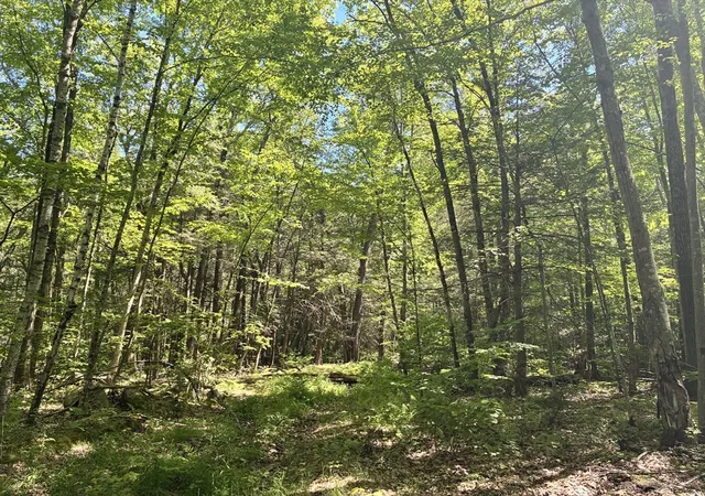 Homes for sale in Belchertown, MA | 0 Summit St, Belchertown, MA 01007 | MLS# 73530278