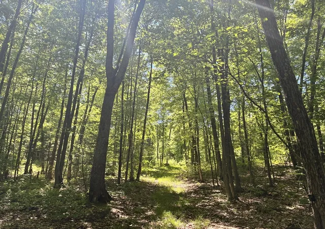 Photo 3 of Sale Pending at 0 Summit St, Belchertown, MA 01007 | MLS# 73530278 | Listing updated on 2026-07-26