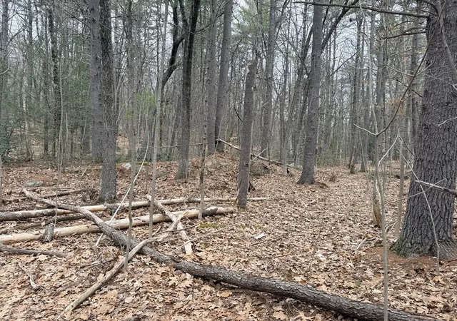 2nd image of 201 New West Townsend Rd, Lunenburg, MA 01462 | MLS# 73495429