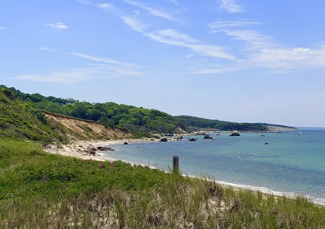 42nd image of 35 South Bowl Rd, Chilmark, MA 02535 | MLS# 73531359