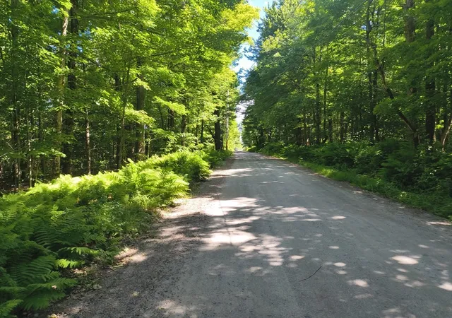 1st image of Lot1 Holcomb Road, Chester, MA 01011 | MLS# 73543989