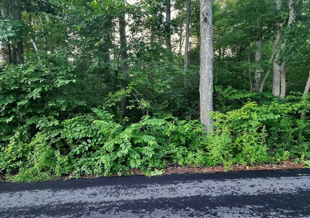 2nd image of 20 Lakeside Ave, Webster, MA 01570 | MLS# 73554667