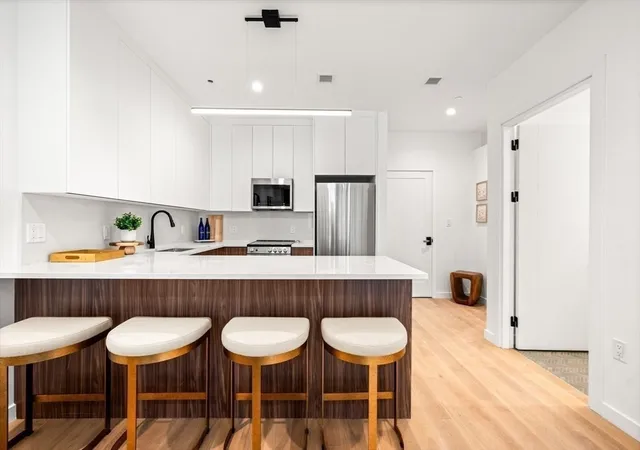 Homes for sale in Boston, MA | 1395 Washington Street #301, Boston, MA 02118 | MLS# 73502922