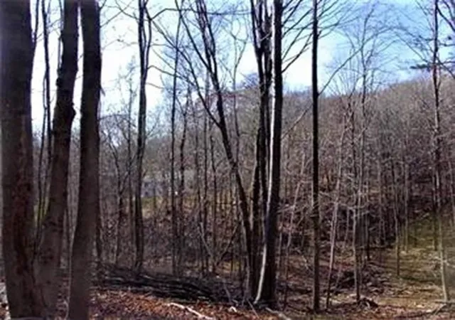 Photo 3 of Land for sale at 474 480 Mountain Rd, Wilbraham, MA 01095 | MLS# 73318963 | Listing updated on 2026-08-18