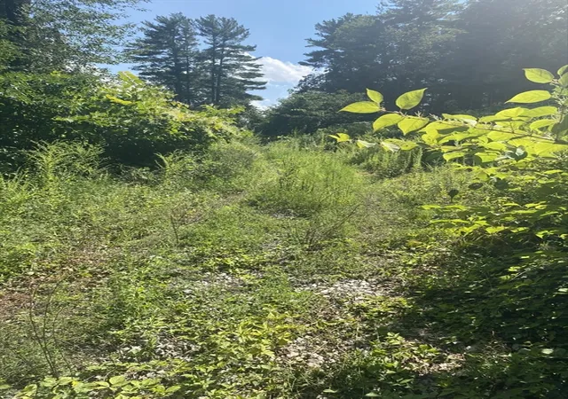 Photo 2 of Land for sale at 43 Kings Lndg, Norwell, MA 02061 | MLS# 73568837 | Listing updated on 2026-10-02