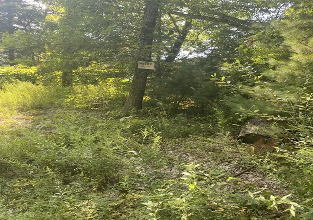 Photo 3 of Land for sale at 43 Kings Lndg, Norwell, MA 02061 | MLS# 73568837 | Listing updated on 2026-10-02