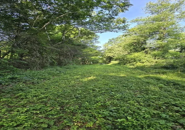 5th image of 360 Grove St, Paxton, MA 01612 | MLS# 73552219