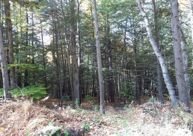 Photo 3 of Land for sale at 0 Thayer Hill Rd, Worthington, MA 01098 | MLS# 73131456 | Listing updated on 2026-09-04