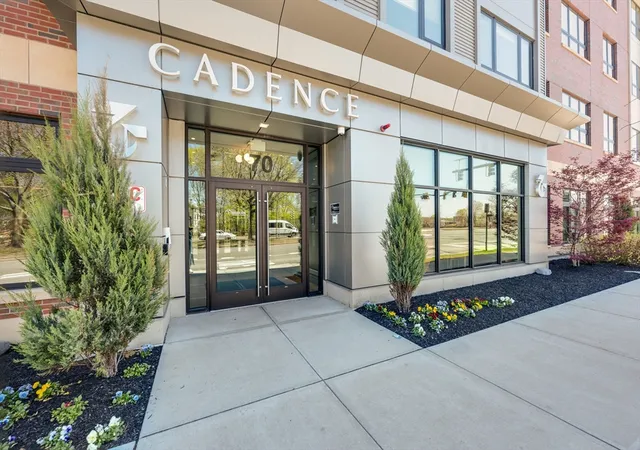 2nd image of Cadence on Leo, Brighton, MA 02135