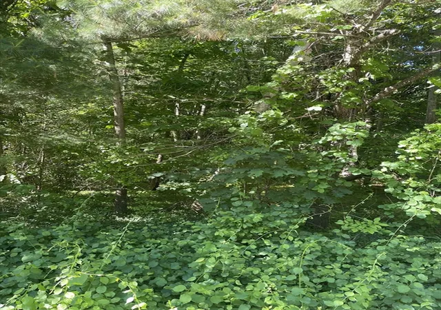Homes for sale in Belchertown, MA | Lot A Ware Rd, Belchertown, MA 01007 | MLS# 73537356