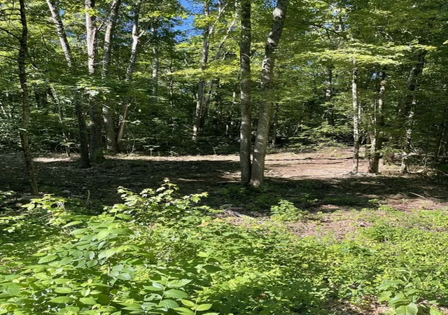Homes for sale in Belchertown, MA | Lot A Ware Rd, Belchertown, MA 01007 | MLS# 73537356