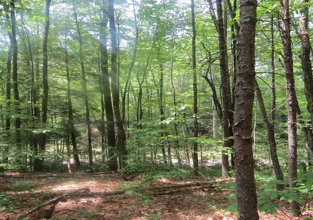 Homes for sale in Leverett, MA | Lot 1 Pratt Corner Road, Leverett, MA 01054 | MLS# 73538362