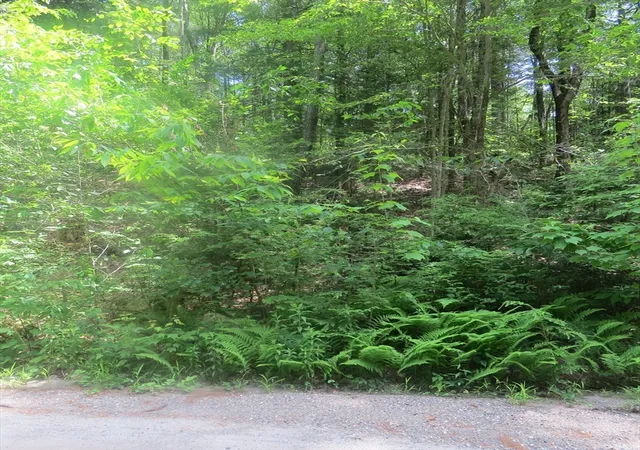 Homes for sale in Leverett, MA | Lot 1 Pratt Corner Road, Leverett, MA 01054 | MLS# 73538362