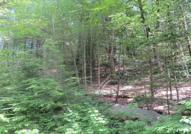 Homes for sale in Leverett, MA | Lot 1 Pratt Corner Road, Leverett, MA 01054 | MLS# 73538362