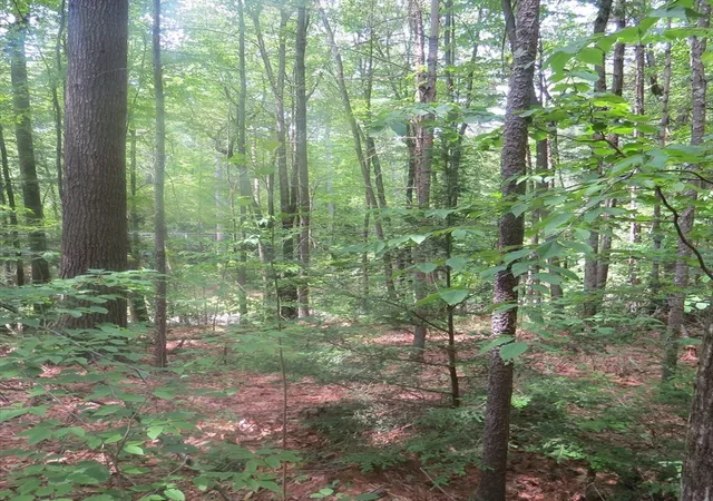 Homes for sale in Leverett, MA | Lot 1 Pratt Corner Road, Leverett, MA 01054 | MLS# 73538362